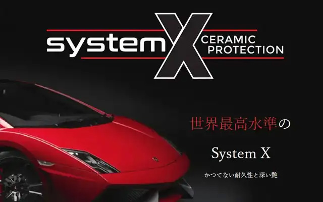 System X