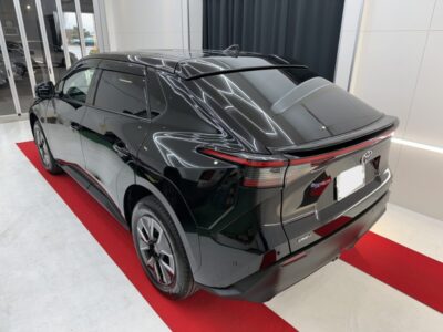 カーケアグランツおすすめ